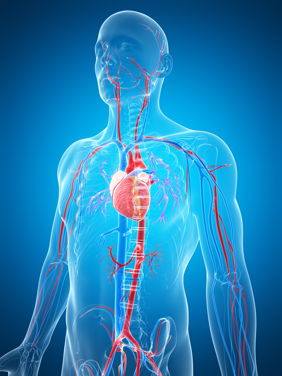 Image SERVICE aortic center 960x1280
