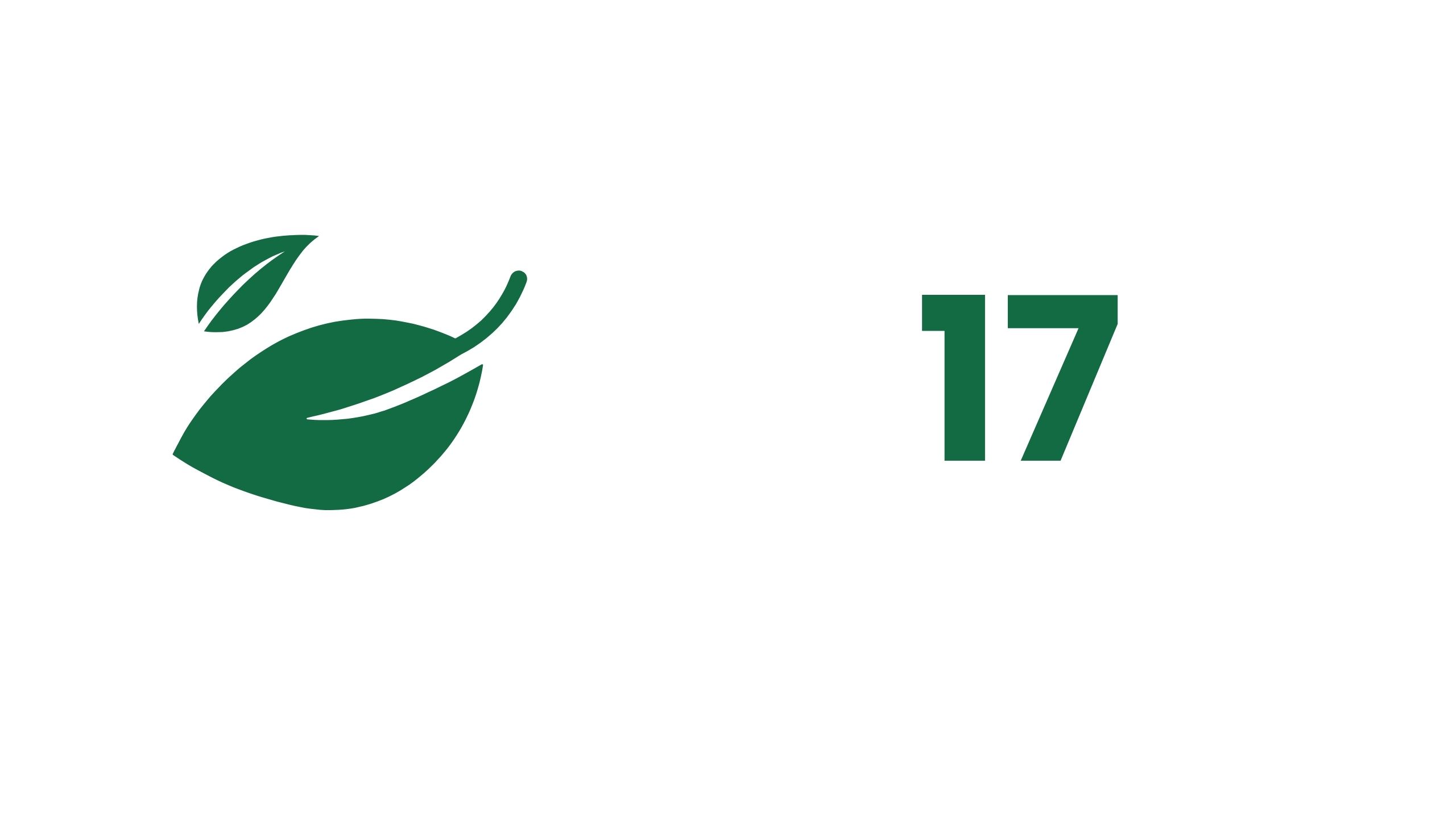 Web - Développement durable enjeux 17