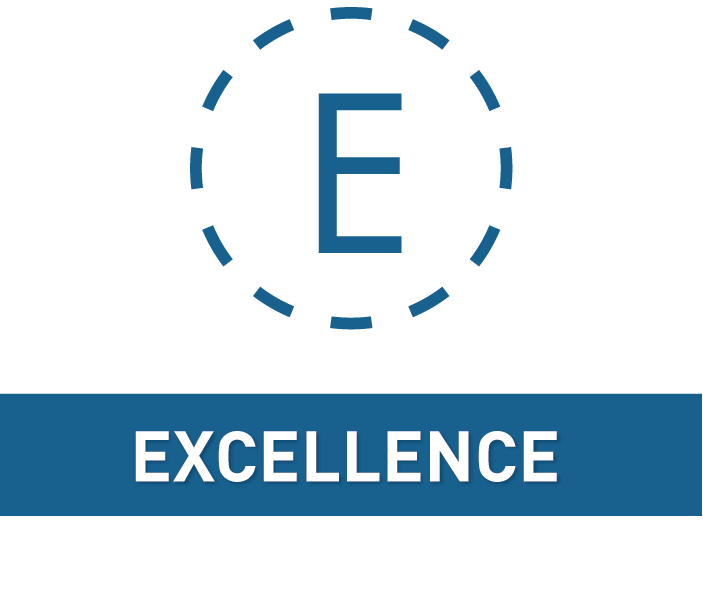 excellence 700X600
