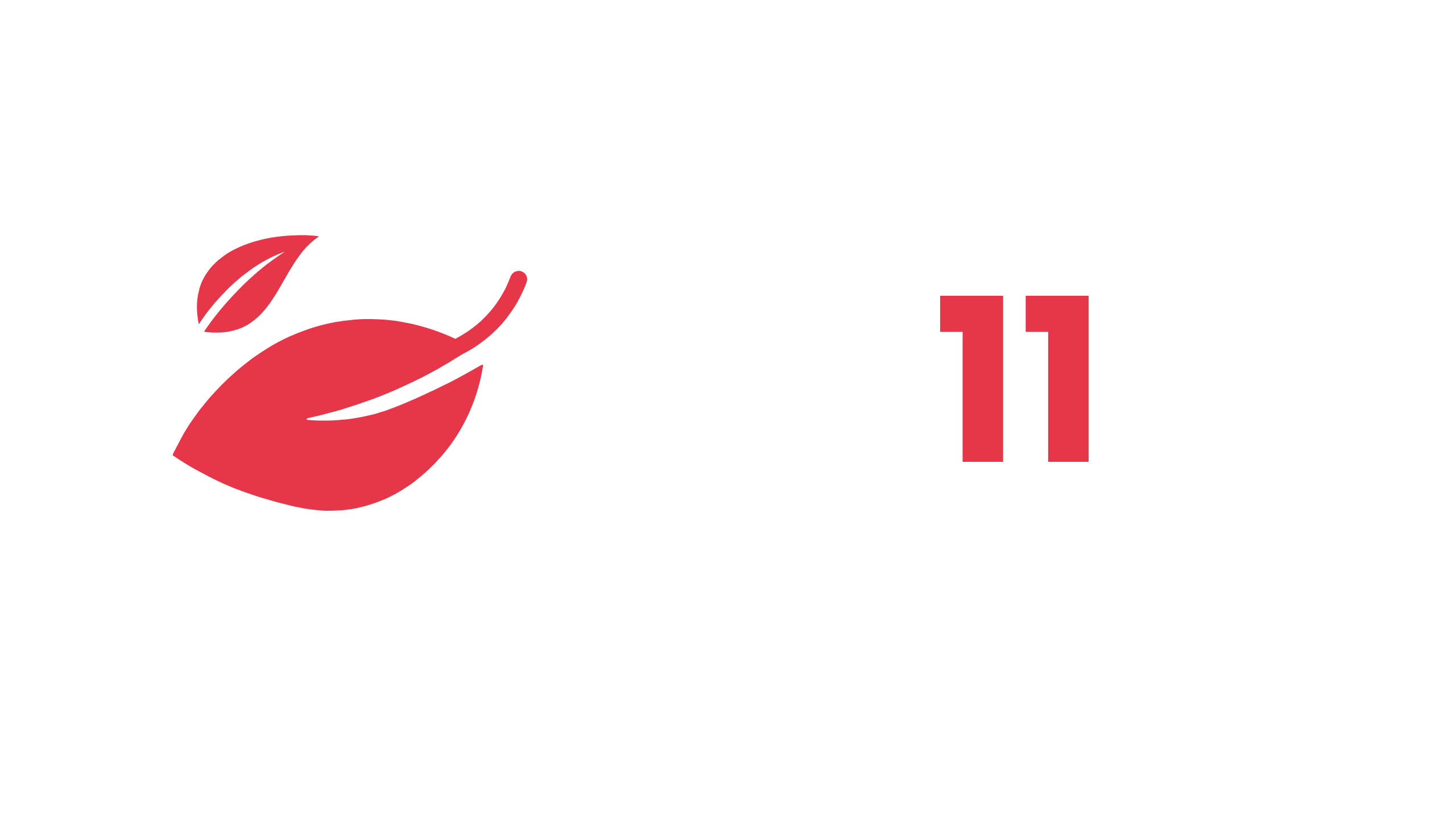 Web - Développement durable enjeux 11