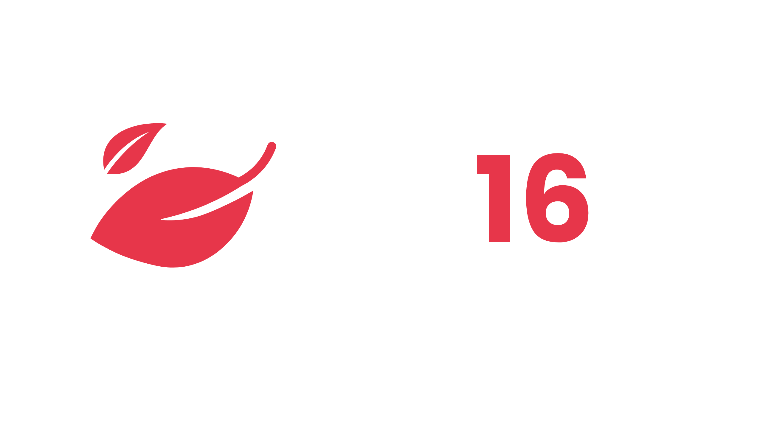 Web - Développement durable enjeux 16